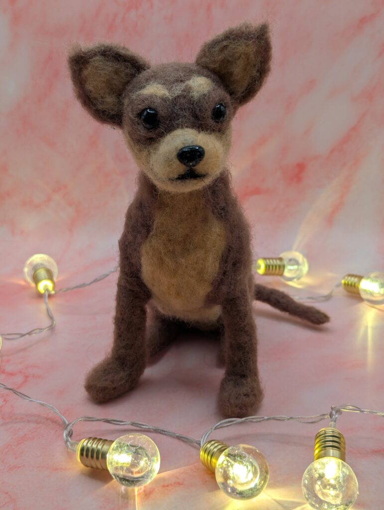 PXL_20241227_135333613